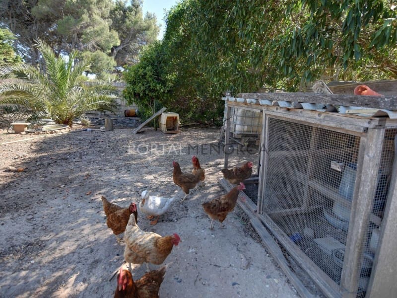 4 soveværelse Villa til salg i Mahon / Mao med swimmingpool - € 2.345.000 (Ref: 8399034)