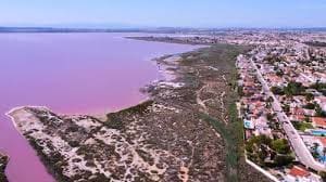 2 Zimmer Strandapartment zu verkaufen in Torrevieja - 134.900 € (Ref: 10002619)