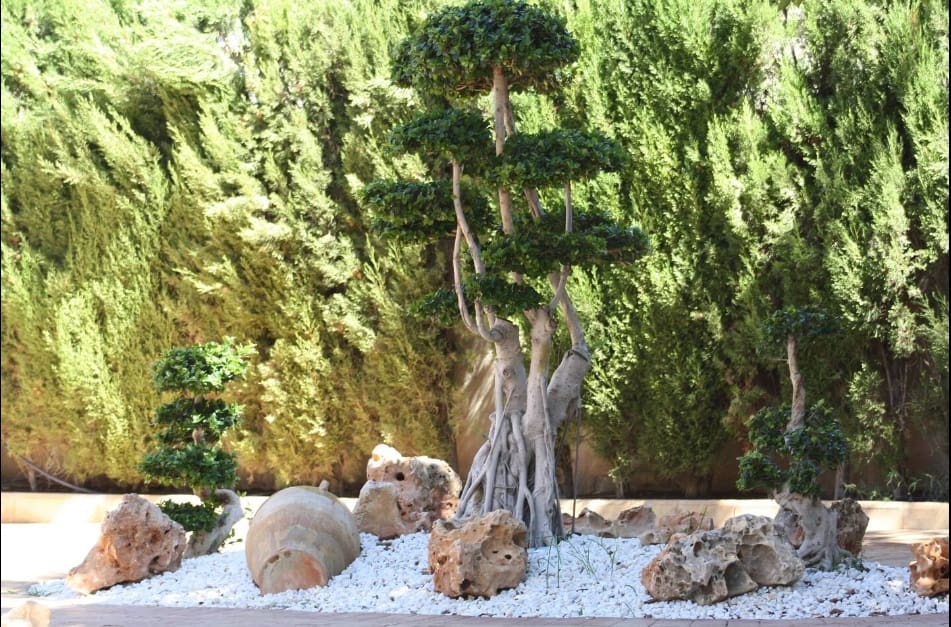 3 sovrum Villa till salu i Muchamiel / Mutxamel med pool - 520 000 € (Ref: 8901996)