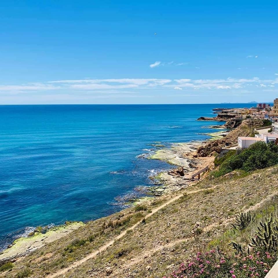 Erhverv til salg i Torrevieja - € 275.000 (Ref: 8961171)