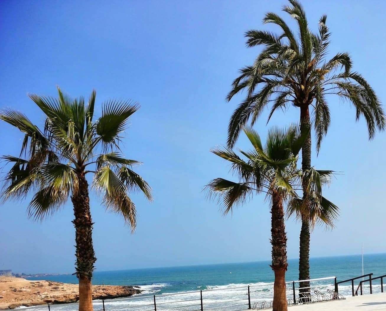 Erhverv til salg i Torrevieja - € 275.000 (Ref: 8961171)