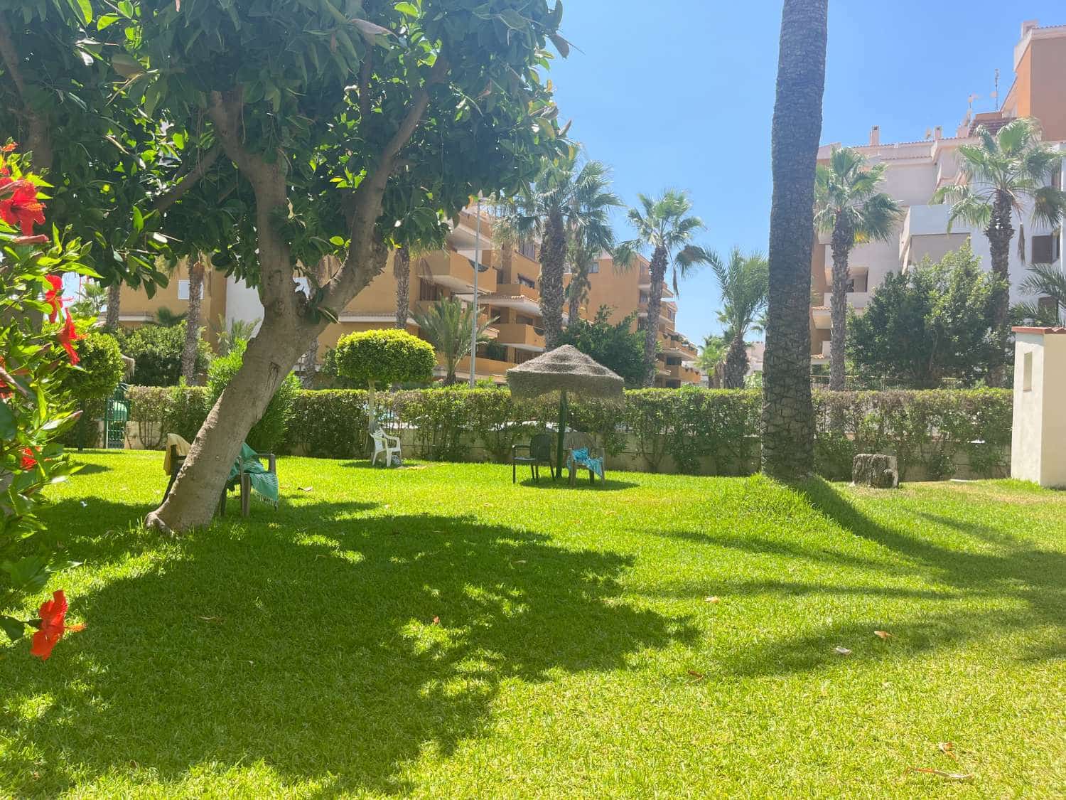 3 sovrum Lägenhet till salu i Orihuela med pool garage - 189 000 € (Ref: 9219726)