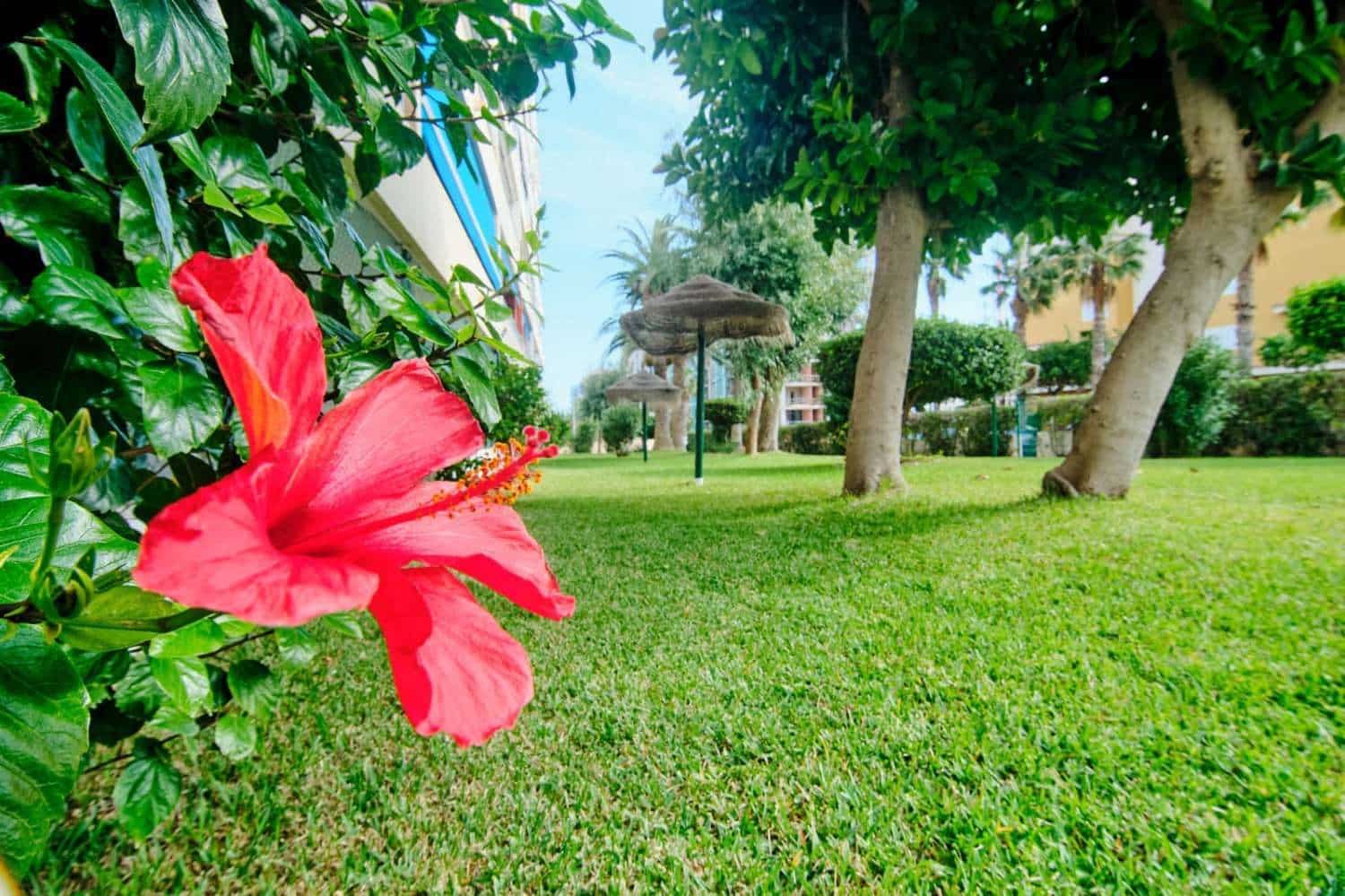 3 sovrum Lägenhet till salu i Orihuela med pool garage - 189 000 € (Ref: 9219726)