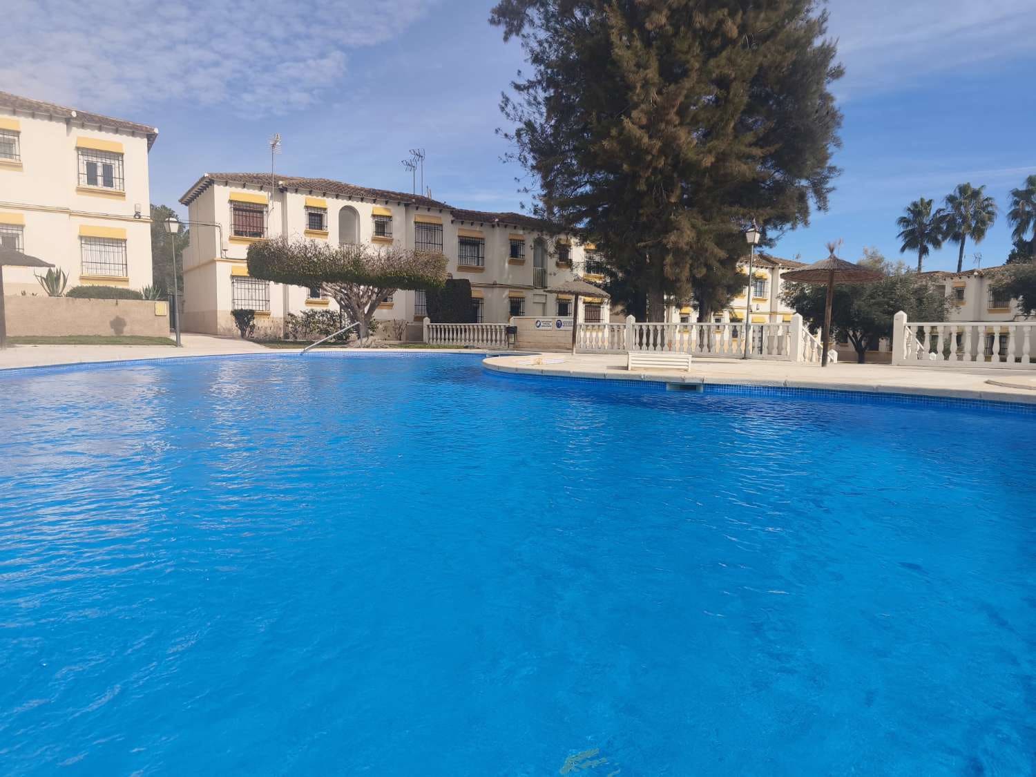 1 Zimmer Wohnung zu verkaufen in San Miguel de Salinas mit Pool - 115.000 € (Ref: 9529504)