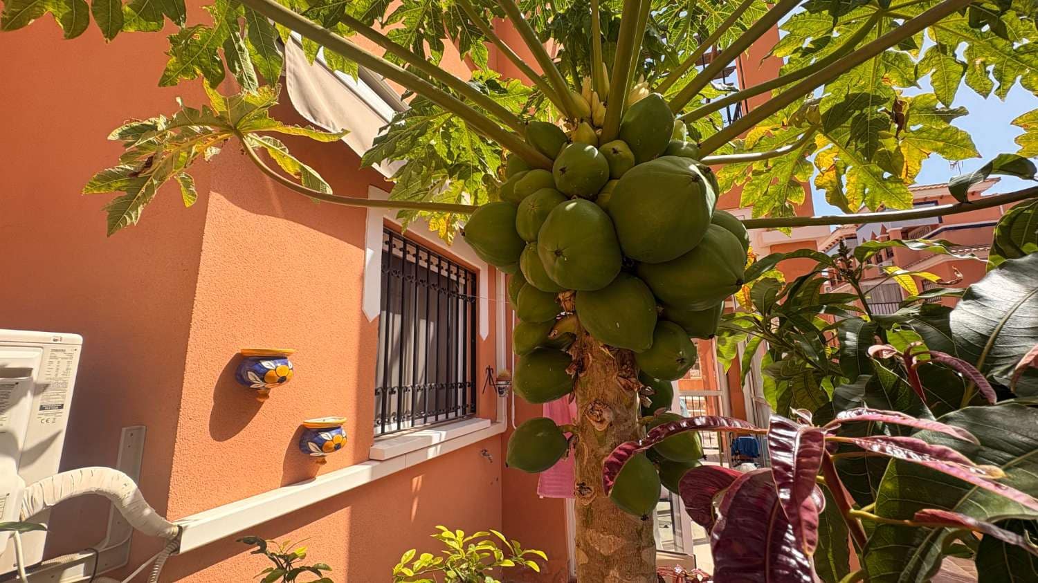 2 bedroom Beach Apartment for sale in Orihuela with pool - € 178,000 (Ref: 9758551)