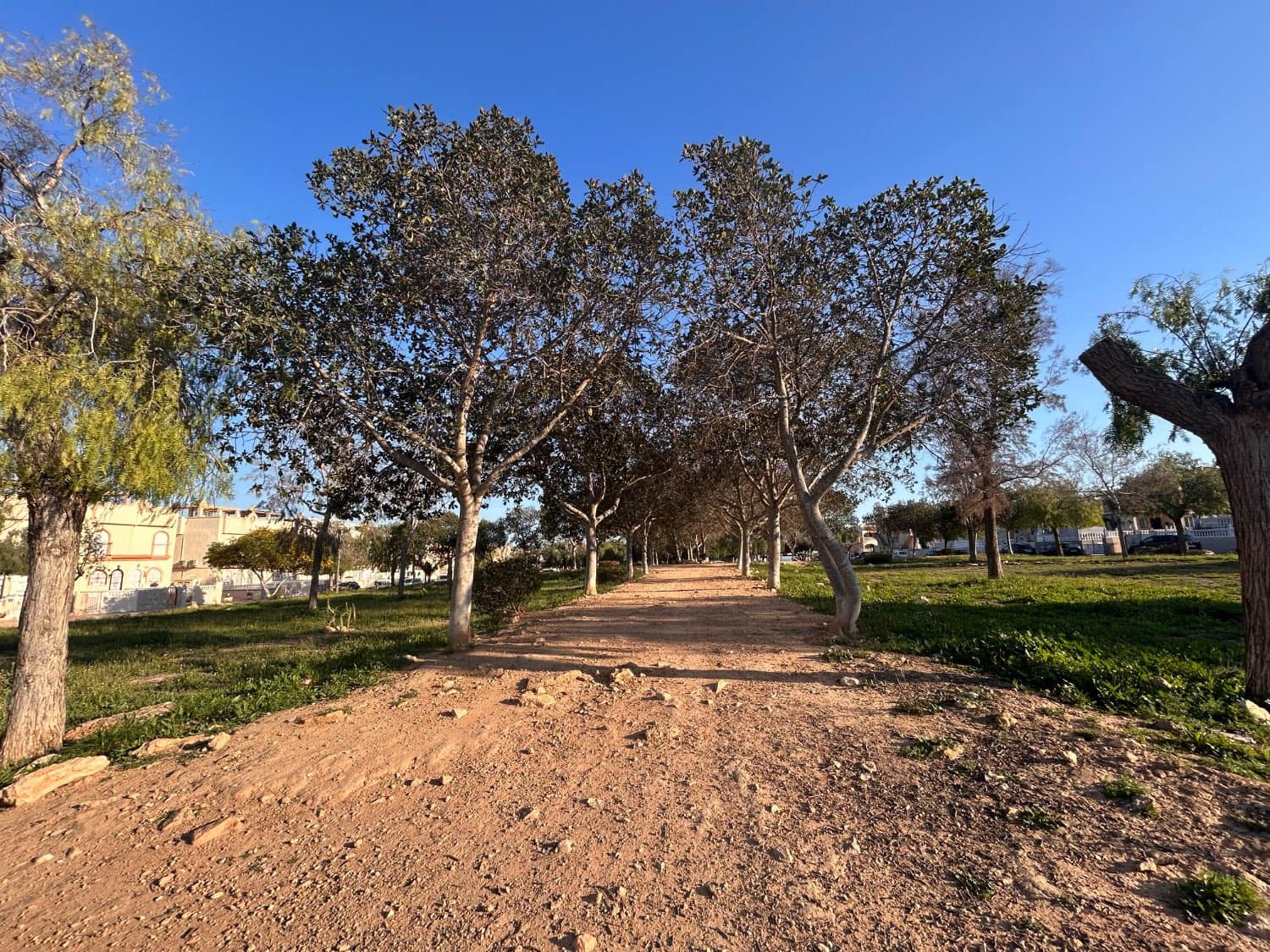 Piso de 3 habitaciones en Orihuela en venta con piscina - 196.000 € (Ref: 9822041)