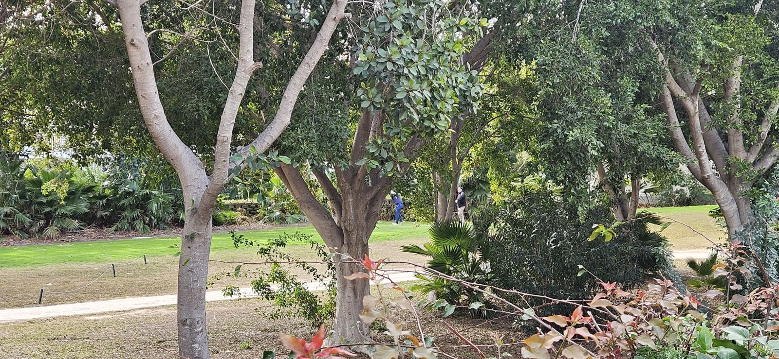 3 Zimmer Bungalow zu verkaufen in Alicante / Alacant Stadt mit Pool Garage - 610.000 € (Ref: 9558797)