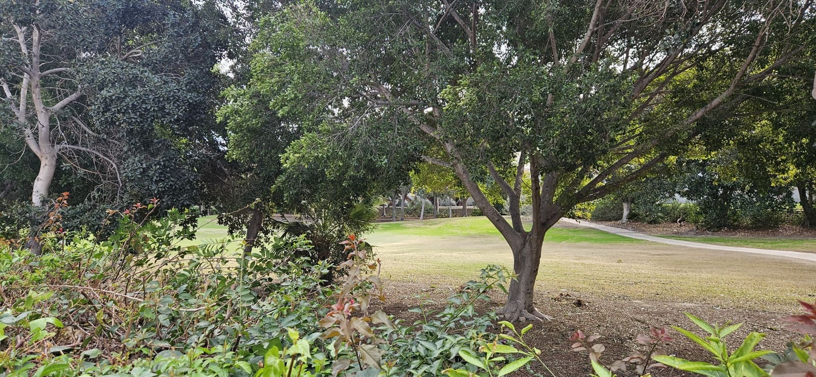 3 Zimmer Bungalow zu verkaufen in Alicante / Alacant Stadt mit Pool Garage - 610.000 € (Ref: 9558797)