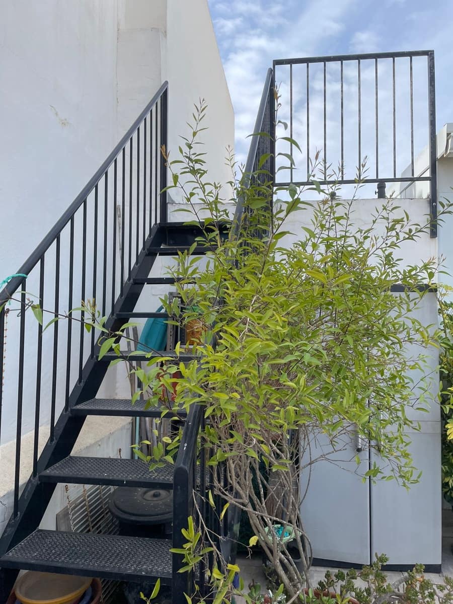 11 camera da letto Appartamento in vendita in Guardamar del Segura con garage - 680.000 € (Rif: 8605529)