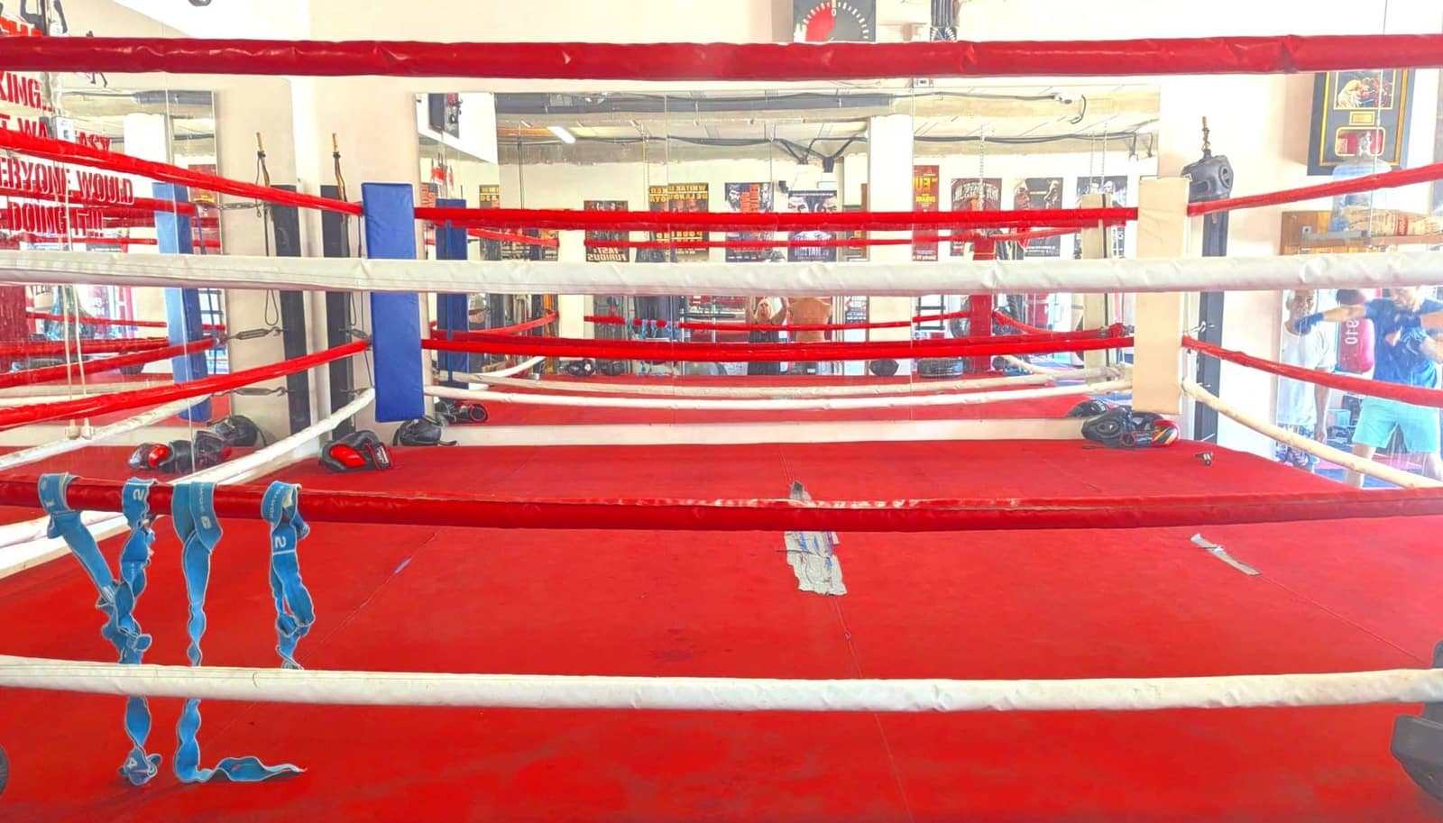 Azienda in vendita in Villamartin - 50.000 € (Rif: 9337798)