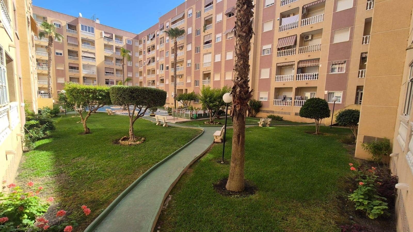 Studio for sale in Torrevieja with pool - € 103,000 (Ref: 10168639)