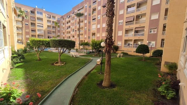 Studio for sale in Centro, Torrevieja with pool - € 103,000 (Ref: 10168639)