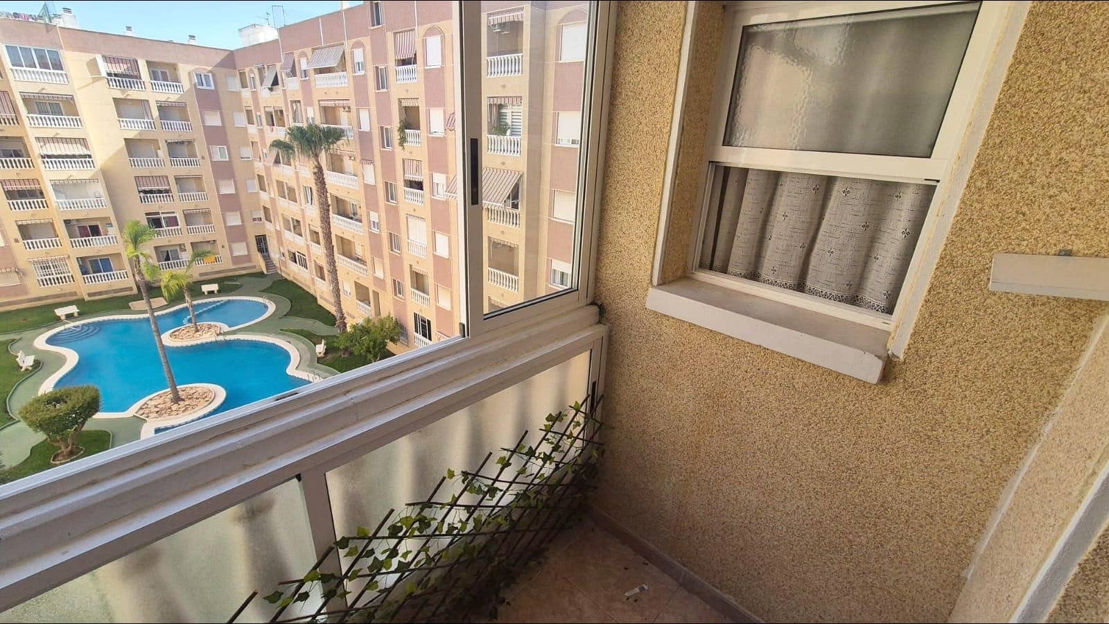 Studio for sale in Torrevieja with pool - € 103,000 (Ref: 10168639)
