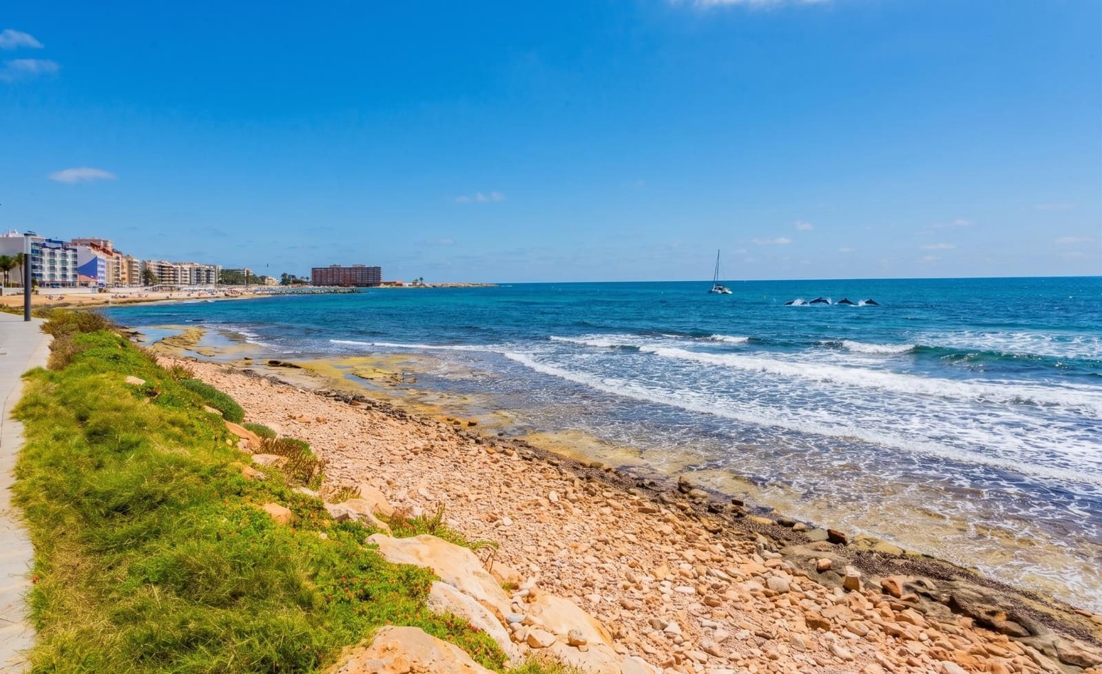 Studio for sale in Torrevieja with pool - € 103,000 (Ref: 10168639)