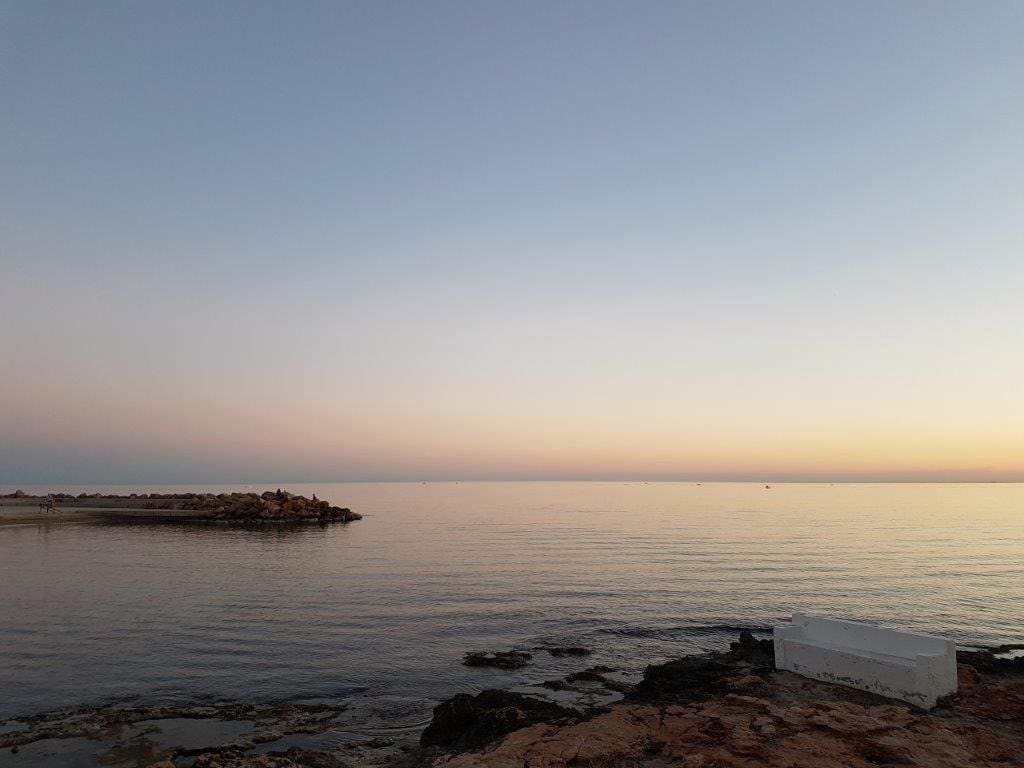 Commercial for sale in Torrevieja - € 525,000 (Ref: 7016829)