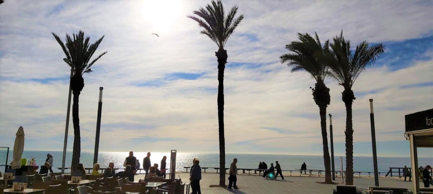 Comercial para venda em Torrevieja - 525 000 € (Ref: 7016829)