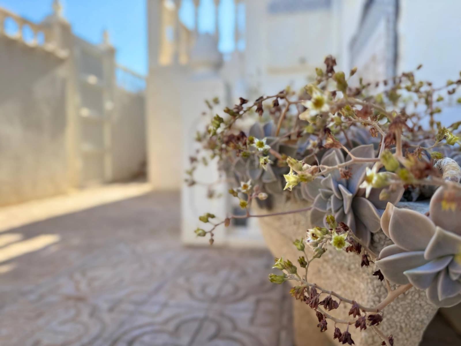 4 slaapkamer Rijtjeshuis te koop in Los Altos met zwembad - € 199.900 (Ref: 8943913)