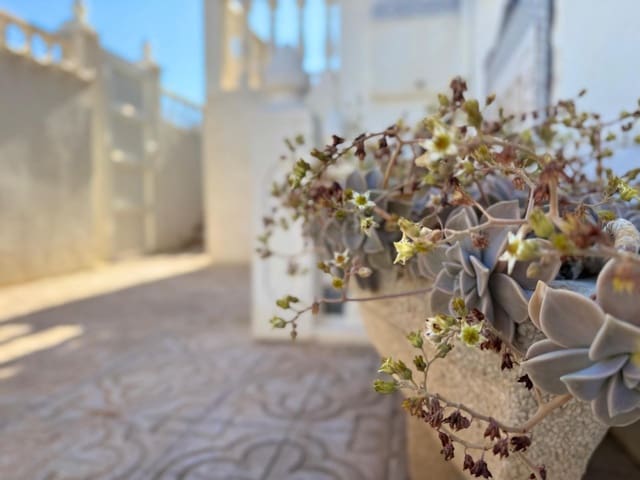 4 sypialnia Dom szeregowy na sprzedaż w Los Altos z basenem - 199 900 € (Ref: 8943913)