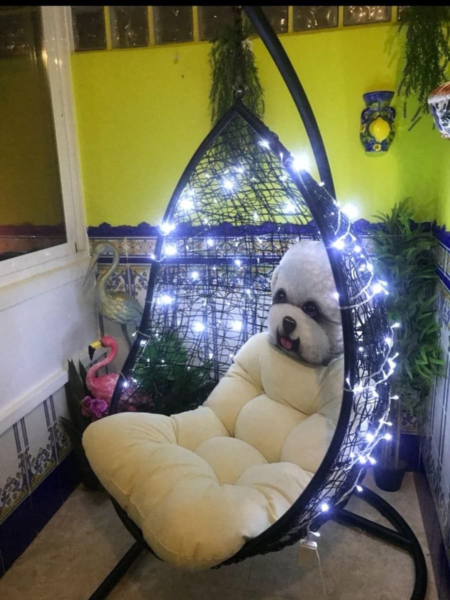 2 quarto Apartamento para venda em Torrevieja com piscina garagem - 122 000 € (Ref: 9396184)