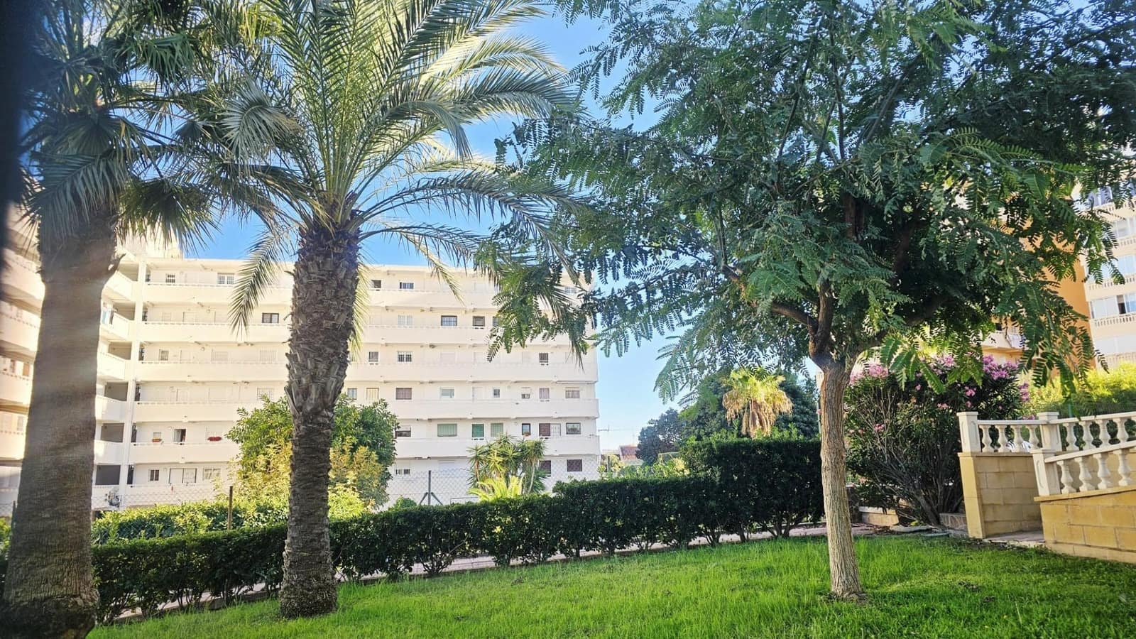 Studio til salg i Torrevieja med swimmingpool - € 83.900 (Ref: 9695484)