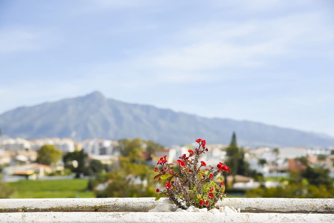 Ático de 3 habitaciones en Guadalmina en alquiler con piscina garaje - 3.200 € (Ref: 9001254)