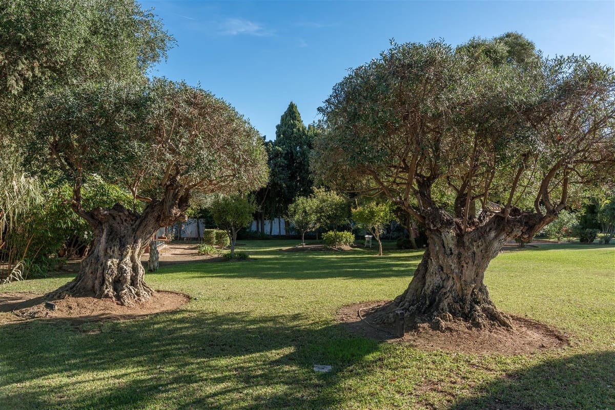 Chalet de 5 habitaciones en Guadalmina en venta con piscina garaje - 4.500.000 € (Ref: 9452300)