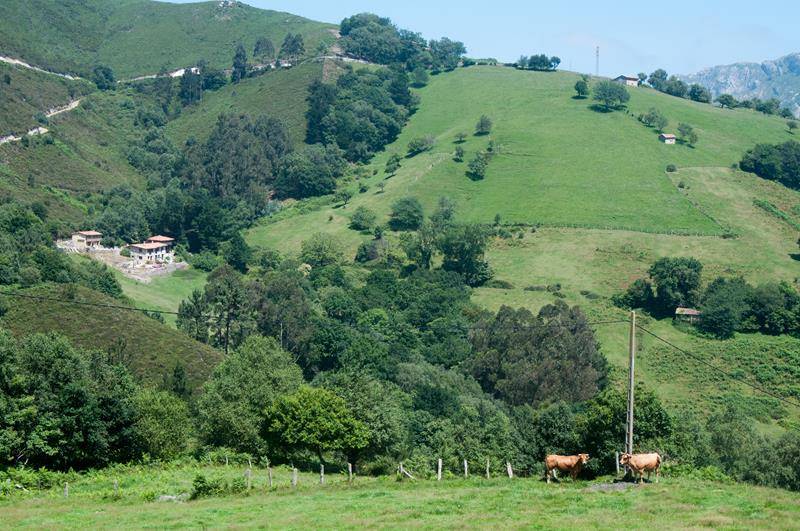 5 soveværelse Finca/Landehus til salg i Arriondas - € 1.200.000 (Ref: 3602298)