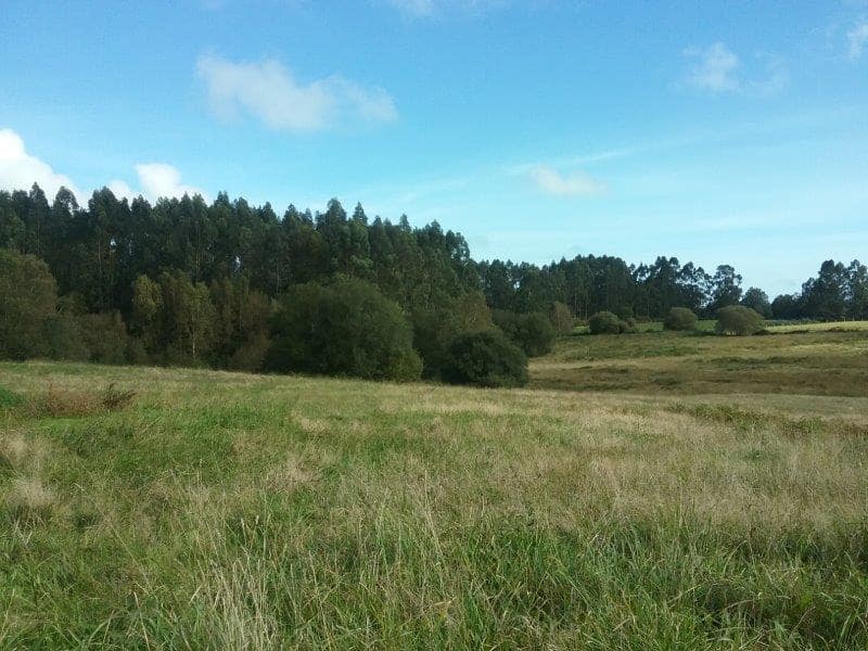 Finca/Herregård til salgs i Villaviciosa - € 380 000 (Ref: 4742347)