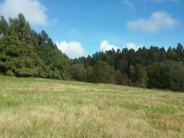 Finca/Landgut zu verkaufen in Villaviciosa - 380.000 € (Ref: 4742347)