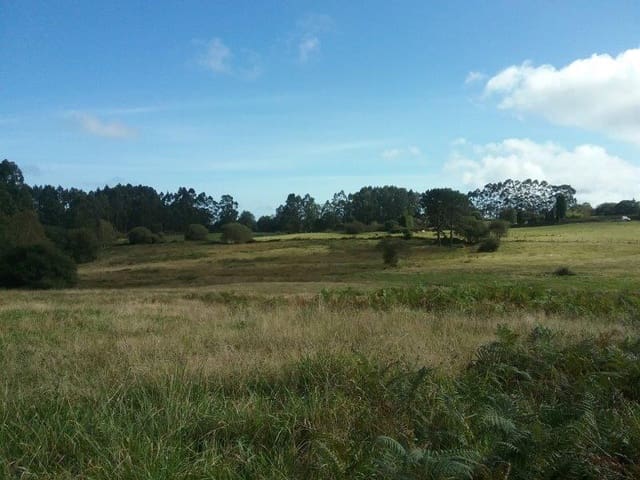 Finca/Landgut zu verkaufen in Villaviciosa - 380.000 € (Ref: 4742347)