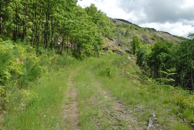 45 sovrum Finca/Hus på landet till salu i Viana do Bolo - 850 000 € (Ref: 4891510)