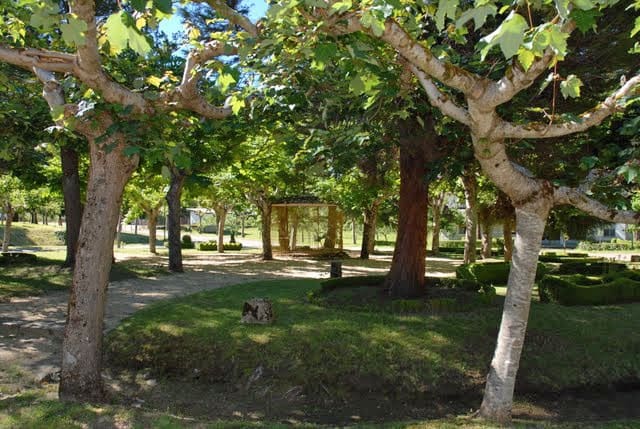 45 slaapkamer Finca/Landhuis te koop in Viana do Bolo - € 850.000 (Ref: 4891510)