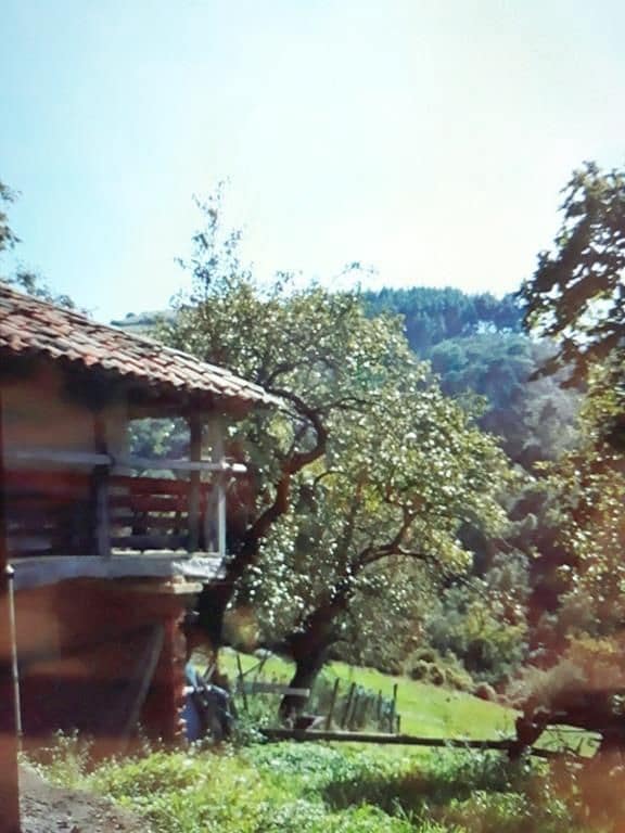 3 soveværelse Finca/Landehus til salg i Siero - € 320.000 (Ref: 5732660)