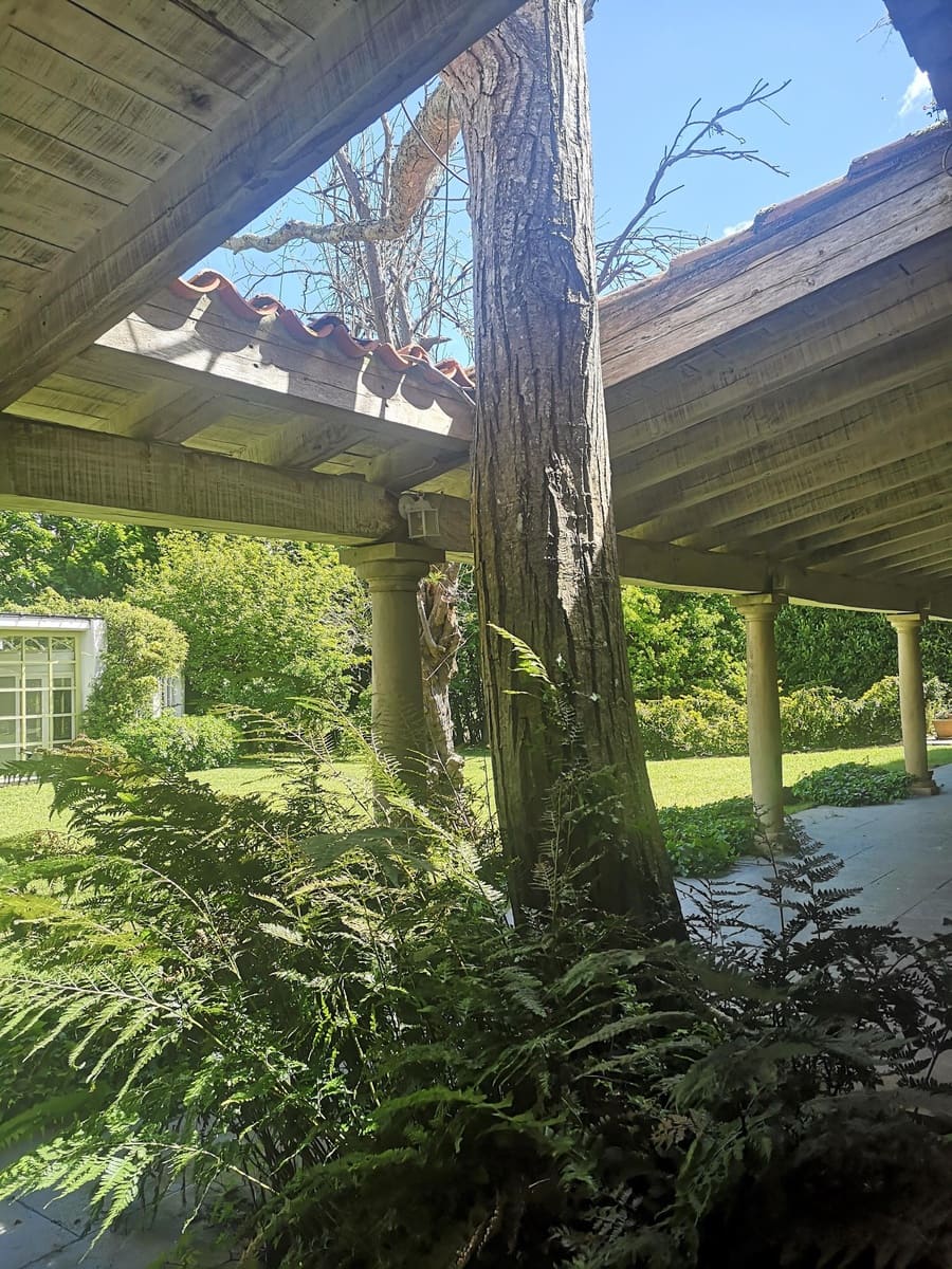 12 soverom Finca/Herregård til salgs i Villaviciosa - € 2 400 000 (Ref: 6091185)