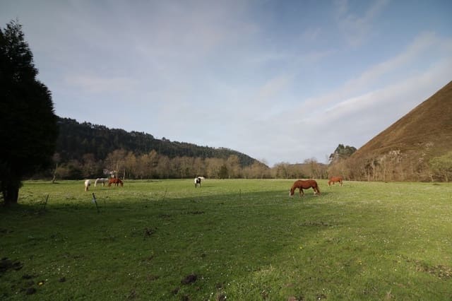 Guesthouse/B & B for sale in Llanes - € 600,000 (Ref: 6111439)