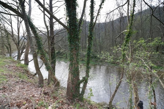 Guesthouse/B & B for sale in Llanes - € 600,000 (Ref: 6111439)