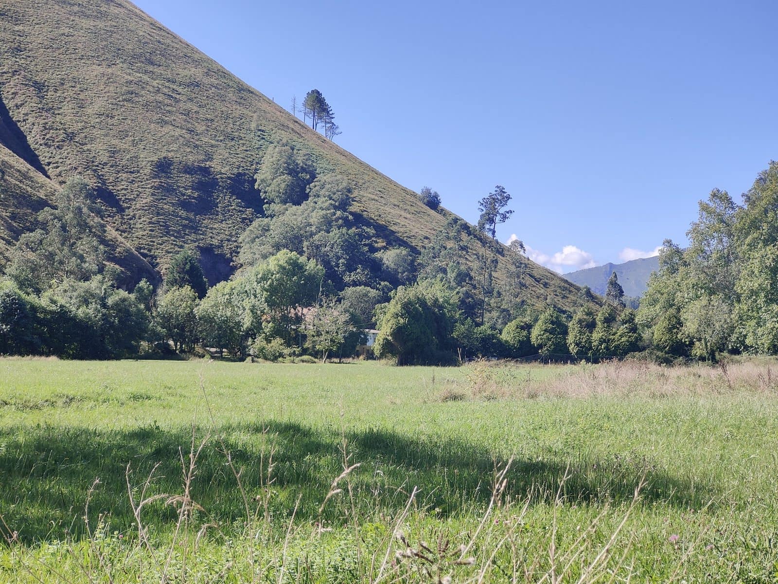 Finca/Herregård til salgs i Llanes med svømmebasseng - € 600 000 (Ref: 6111439)