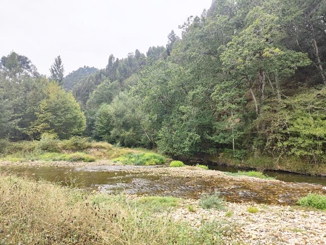 Finca/Herregård til salgs i Llanes med svømmebasseng - € 600 000 (Ref: 6111439)