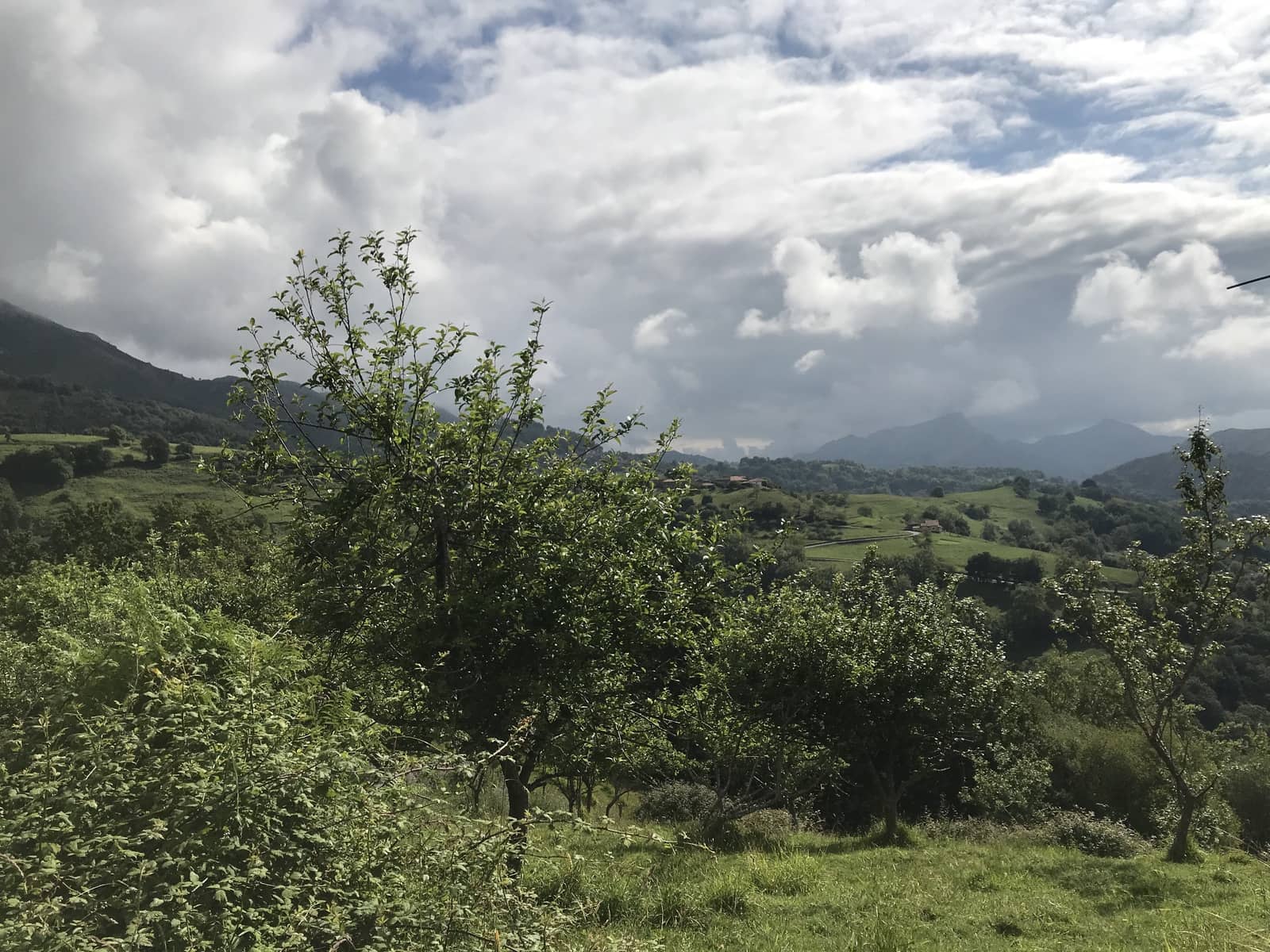 7 soveværelse Finca/Landehus til salg i Infiesto - € 380.000 (Ref: 6401038)