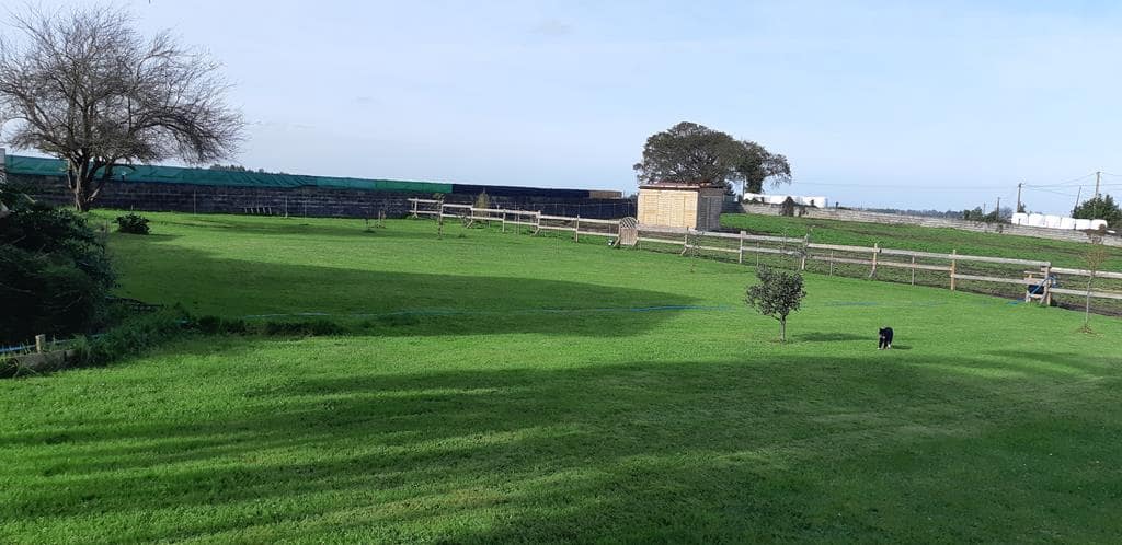 6 soverom Finca/Herregård til salgs i Villaviciosa - € 560 000 (Ref: 6456170)