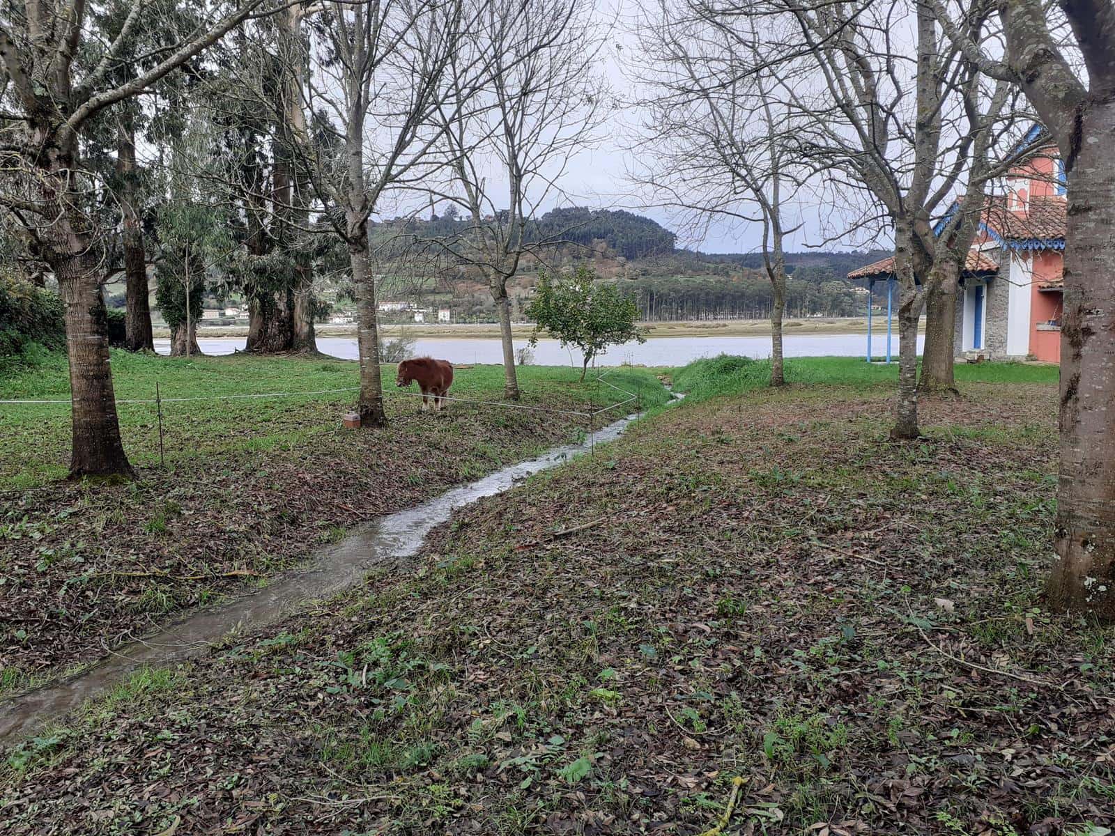 5 soveværelse Villa til salg i Villaviciosa - € 640.000 (Ref: 6801261)