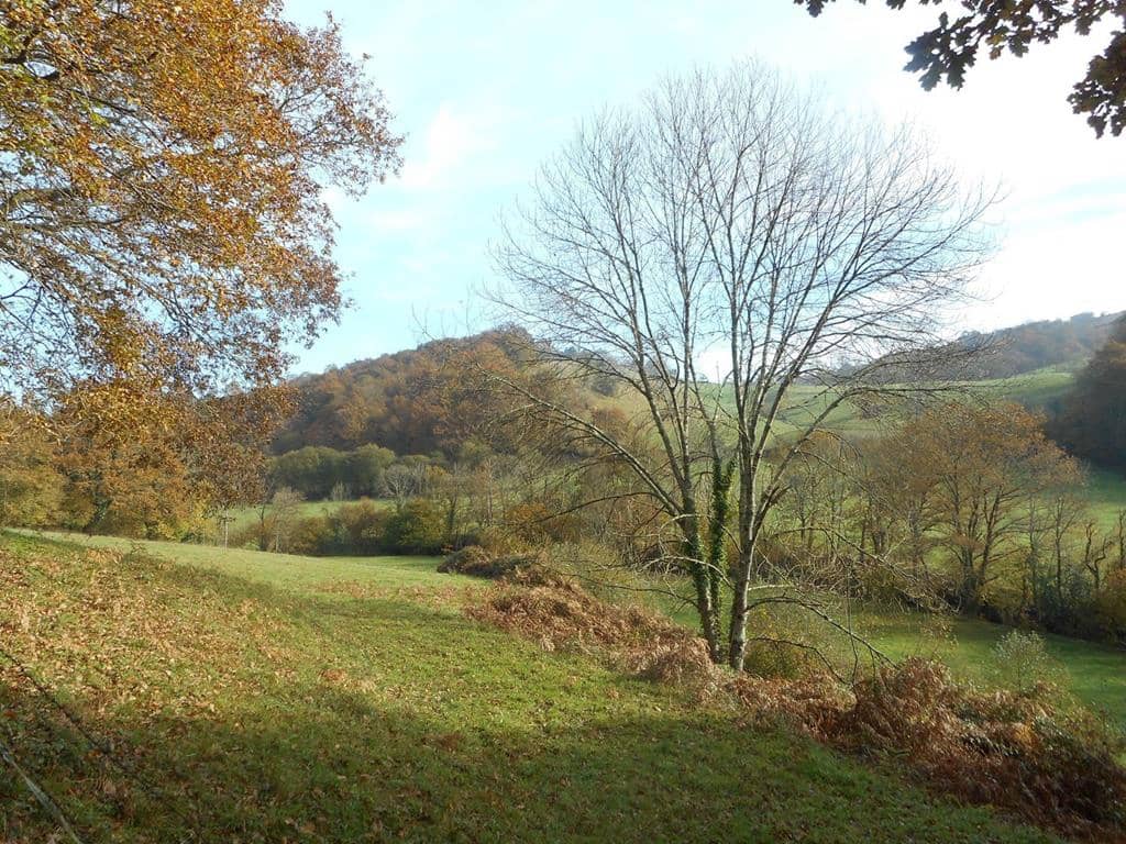 4 soverom Finca/Herregård til salgs i Pilona - € 495 000 (Ref: 7087265)