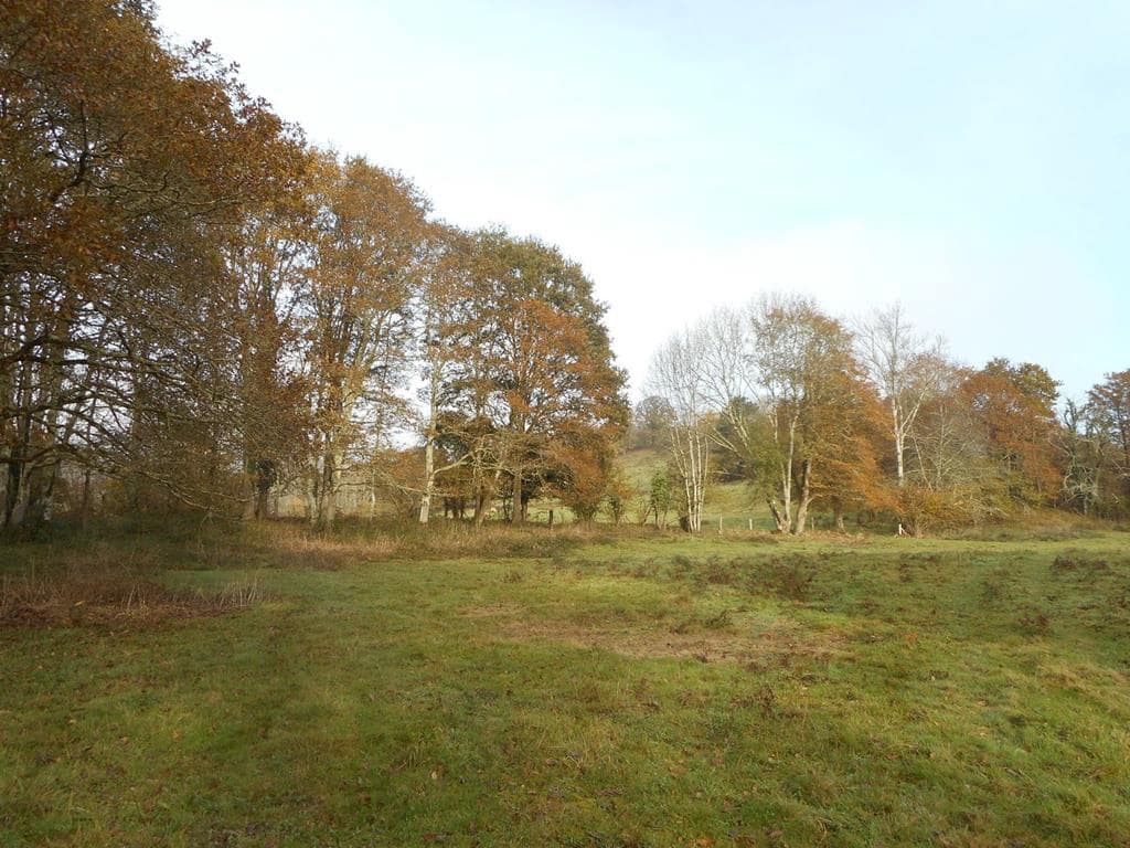 4 soverom Finca/Herregård til salgs i Pilona - € 495 000 (Ref: 7087265)