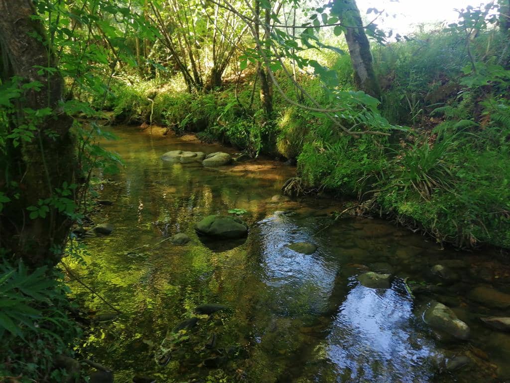 4 soverom Finca/Herregård til salgs i Pilona - € 495 000 (Ref: 7087265)