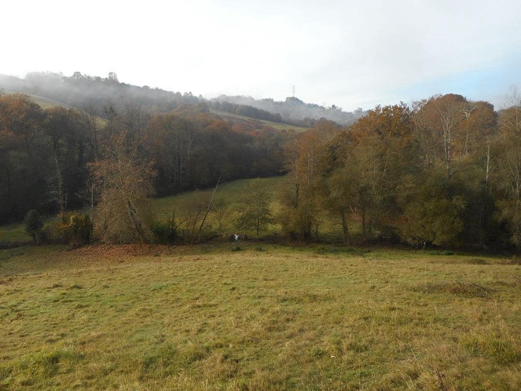 4 soverom Finca/Herregård til salgs i Pilona - € 495 000 (Ref: 7087265)