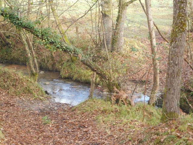 4 bedroom Finca/Country House for sale in Piloña - € 495,000 (Ref: 7087265)