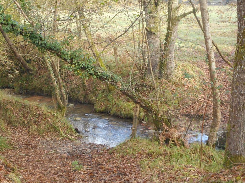 4 soverom Finca/Herregård til salgs i Pilona - € 495 000 (Ref: 7087265)