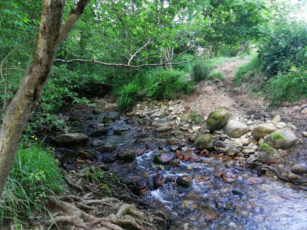 4 soverom Finca/Herregård til salgs i Pilona - € 495 000 (Ref: 7087265)