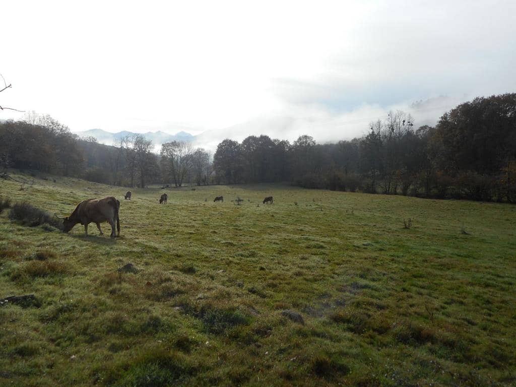 4 soverom Finca/Herregård til salgs i Pilona - € 495 000 (Ref: 7087265)