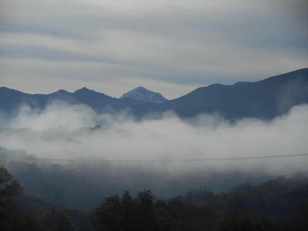 4 soverom Finca/Herregård til salgs i Pilona - € 495 000 (Ref: 7087265)